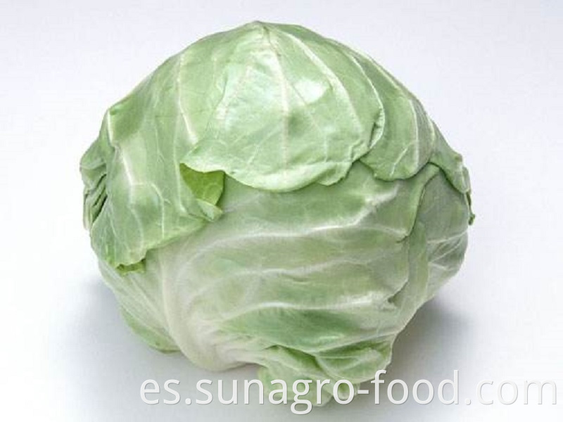 Quality Cabbage With Different Weights